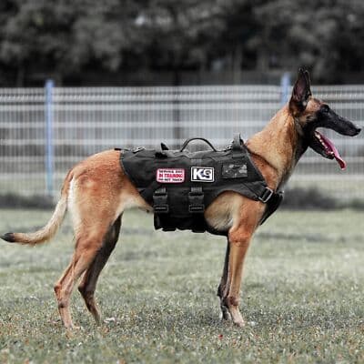 Tactical gear