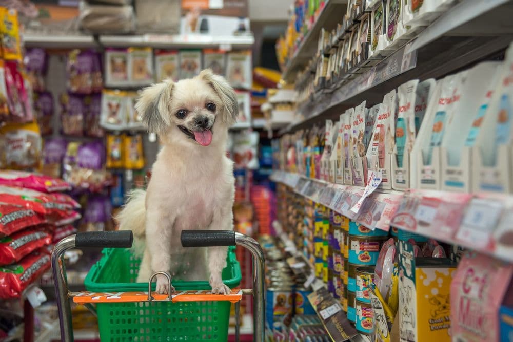Pet shop